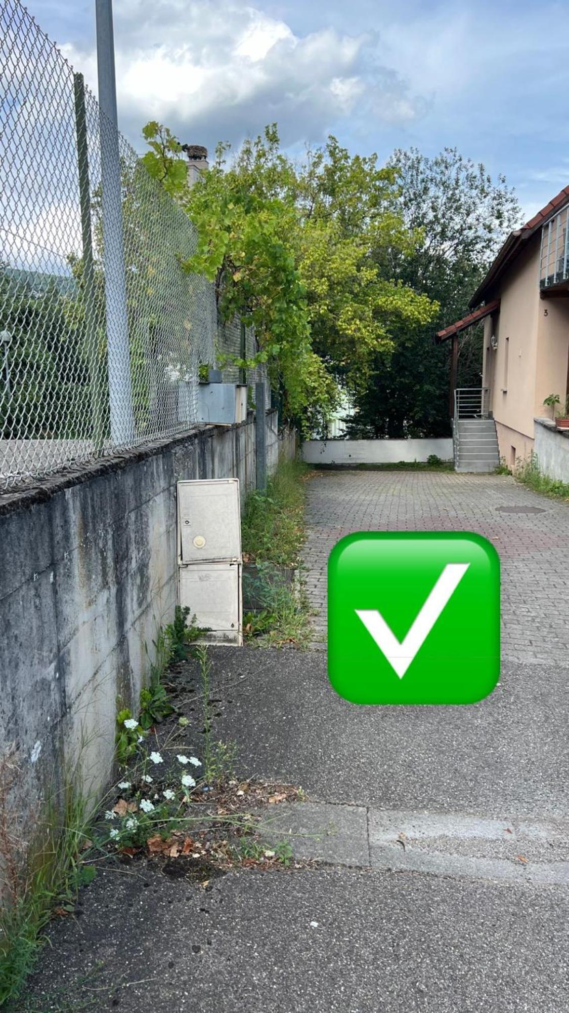 3A Rue Jean Baptiste Wendling Ribeauvillé Eksteriør billede